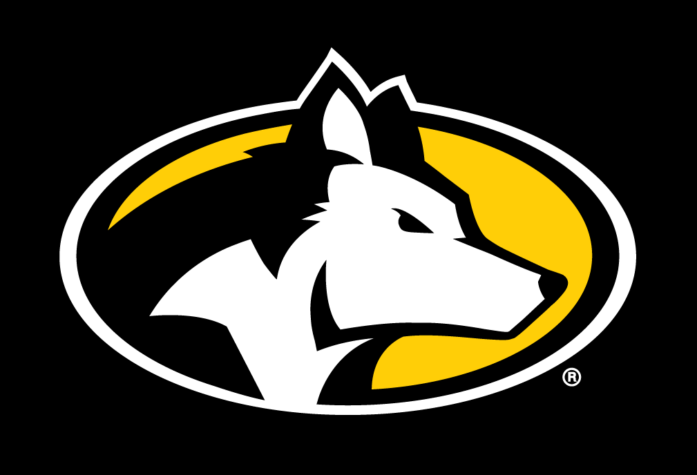 Michigan Tech Huskies 2016-Pres Partial Logo v2 diy DTF decal sticker